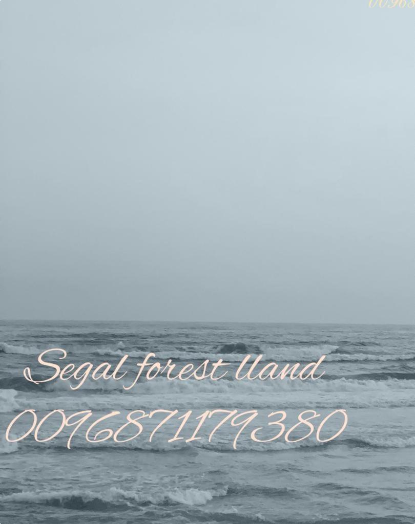 Segal Salalah-Forest Island-Hawana Exterior photo